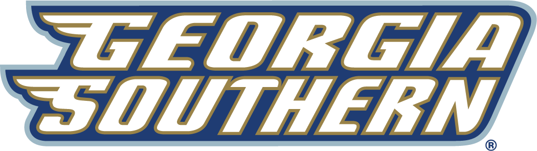 Georgia Southern Eagles 2004-Pres Wordmark Logo v3 diy fabric transfer